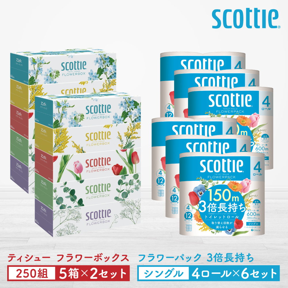 【スコッティ】ティシュー フラワーボックス 250組(5箱パック×2セット)+フラワーパック 3倍長持ち(4ロール(シングル)パック×6セット)ティッシュ トイレットペーパー 日用品