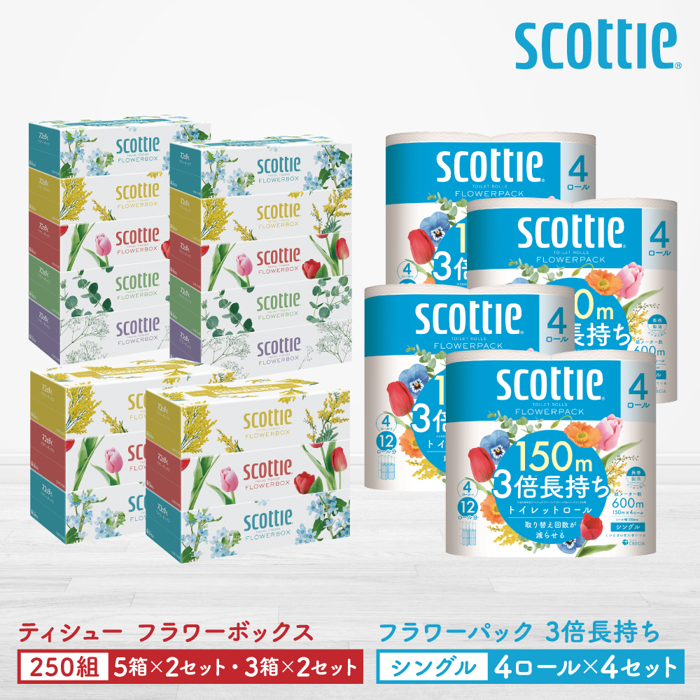 【スコッティ】ティシュー フラワーボックス 250組（5箱パック×2セット・3箱パック×2セット）＋フラワーパック 3倍長持ち（4ロール(シングル)パック×4セット）ティッシュ トイレットペーパー 日用品