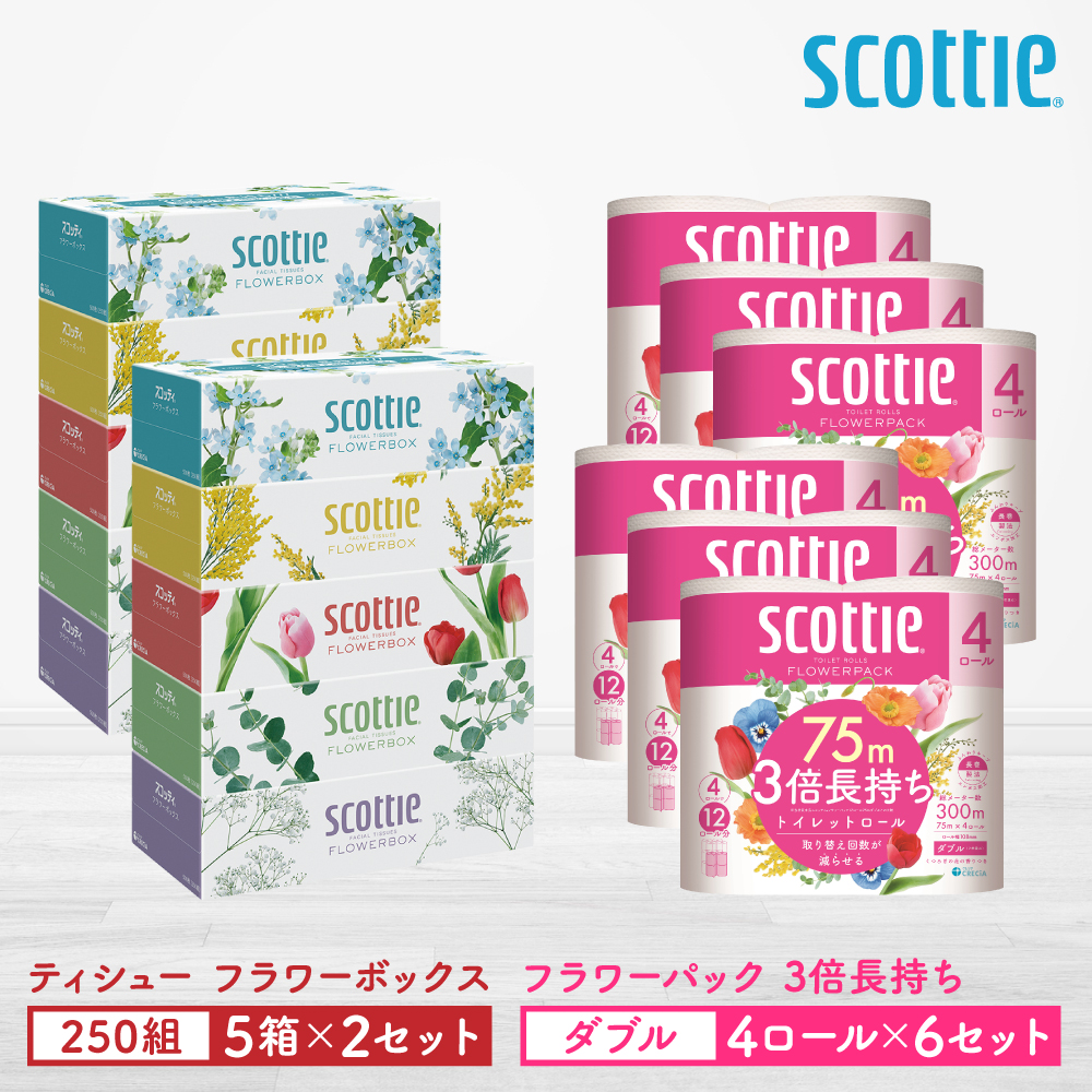【スコッティ】ティシュー フラワーボックス 250組（5箱パック×2セット）＋フラワーパック 3倍長持ち（4ロール(ダブル)パックx6セット）ティッシュ トイレットペーパー 日用品