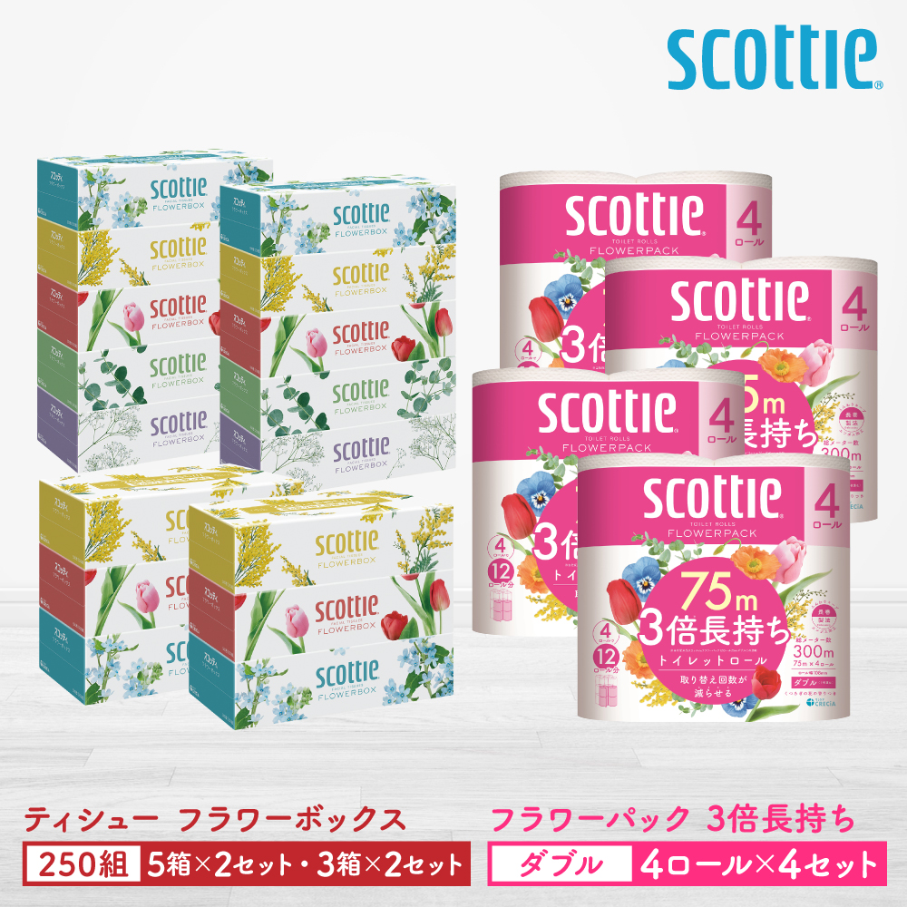 【スコッティ】ティシュー フラワーボックス 250組（5箱パック×2セット・3箱パック×2セット）＋フラワーパック 3倍長持ち（4ロール(ダブル)パック×4セット）ティッシュ トイレットペーパー 日用品