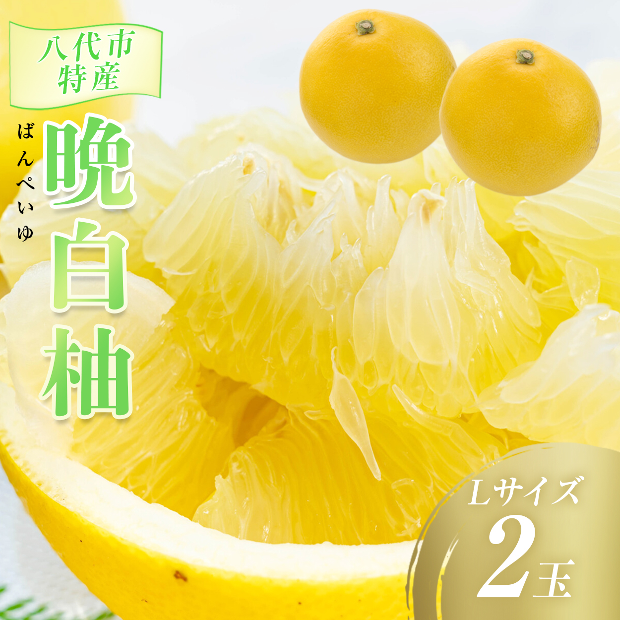 先行予約】 数量限定 八代市特産 晩白柚 Lサイズ 2玉 ばんぺいゆ