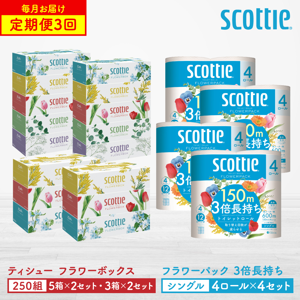 【定期便3回】【毎月1回お届け】【スコッティ】ティシュー フラワーボックス 250組（5箱パック×2セット・3箱パック×2セット）＋フラワーパック 3倍長持ち（4ロール(シングル)パック×4セット）ティッシュ トイレットペーパー 日用品