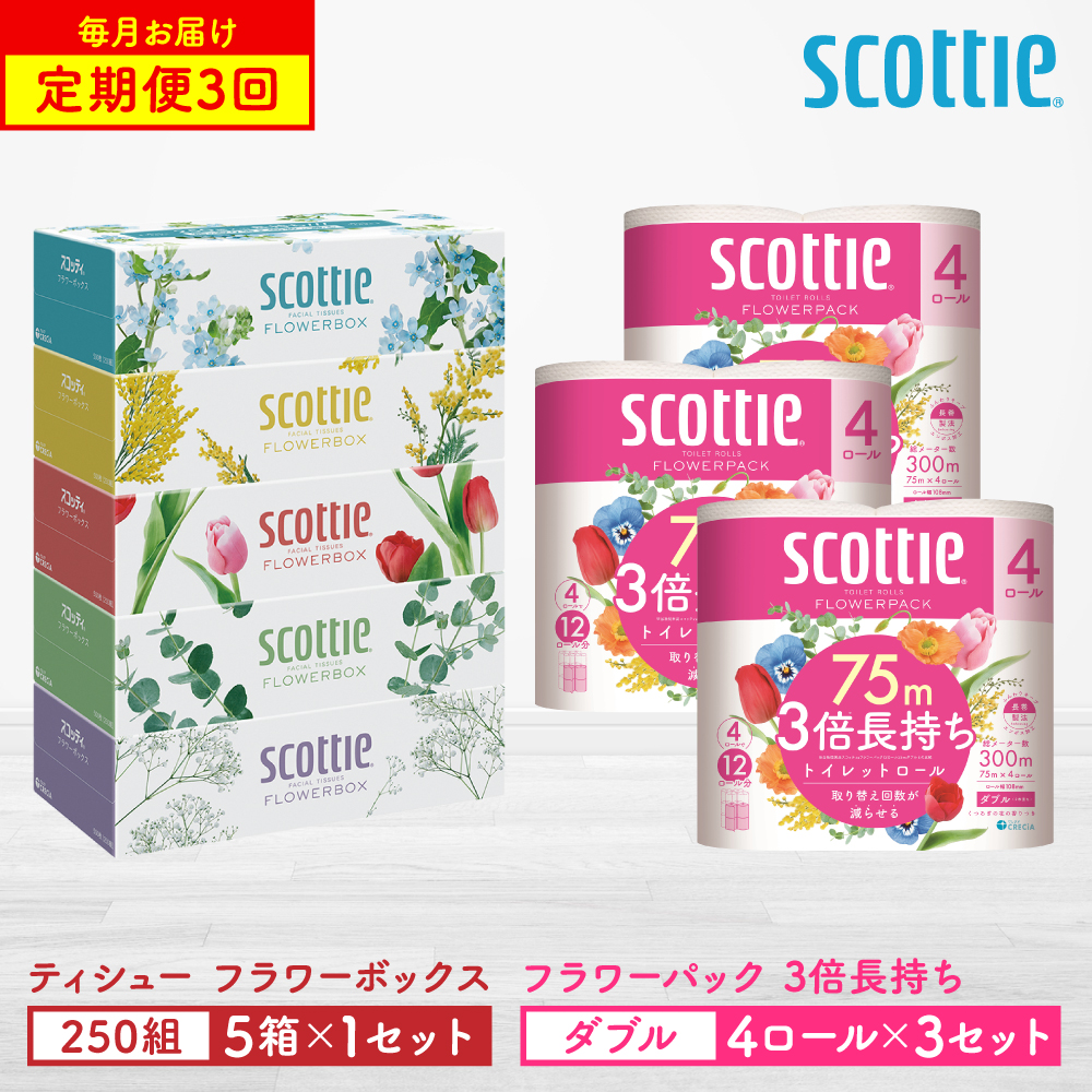 【定期便3回】【毎月1回お届け】【スコッティ】ティシュー フラワーボックス 250組（5箱パック×1セット）＋フラワーパック 3倍長持ち（4ロール(ダブル)パック×3セット）ティッシュ トイレットペーパー 日用品