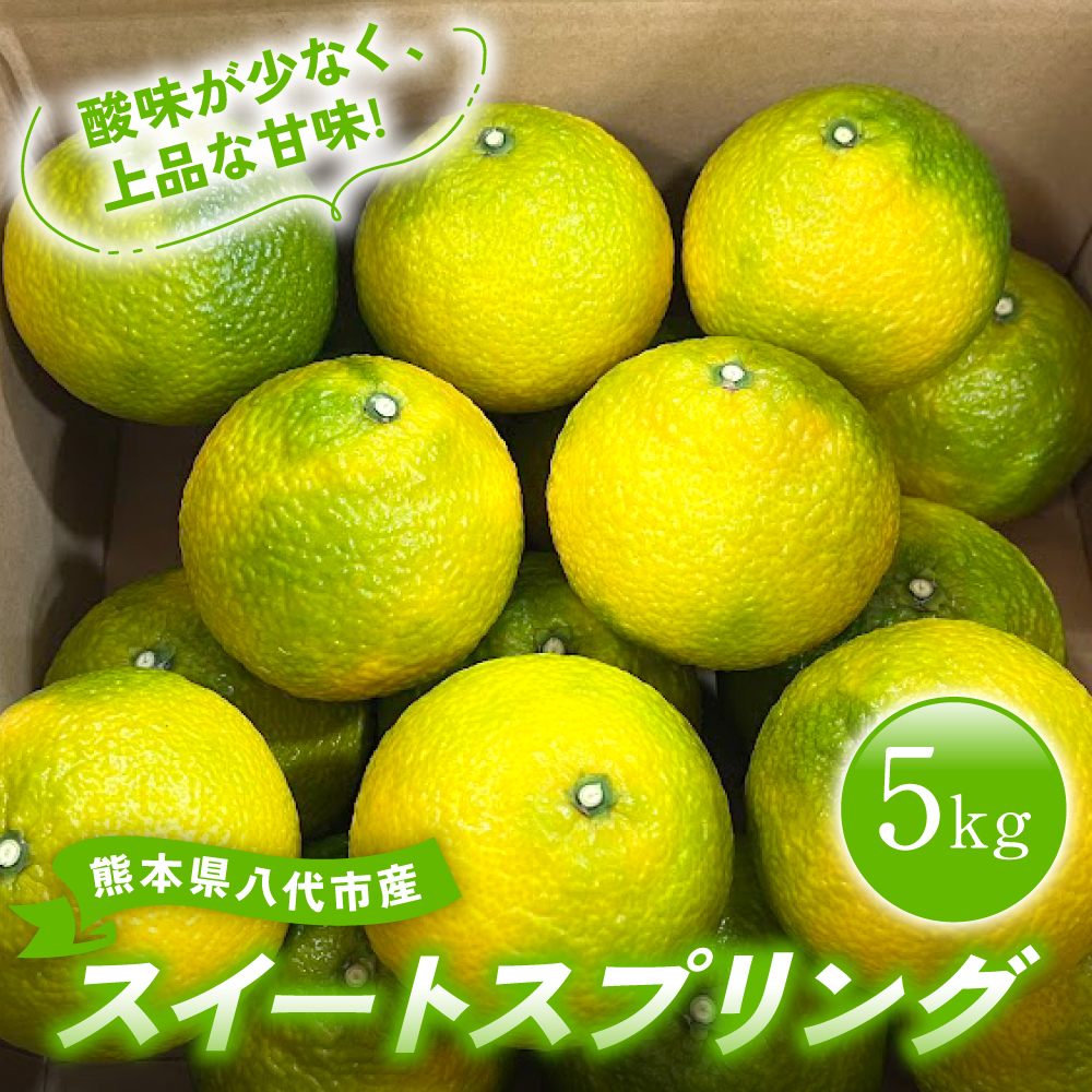 【先行予約】 熊本県八代市産 スイートスプリング 約5kg 柑橘 フルーツ 果物 【2025年12月上旬より順次発送】