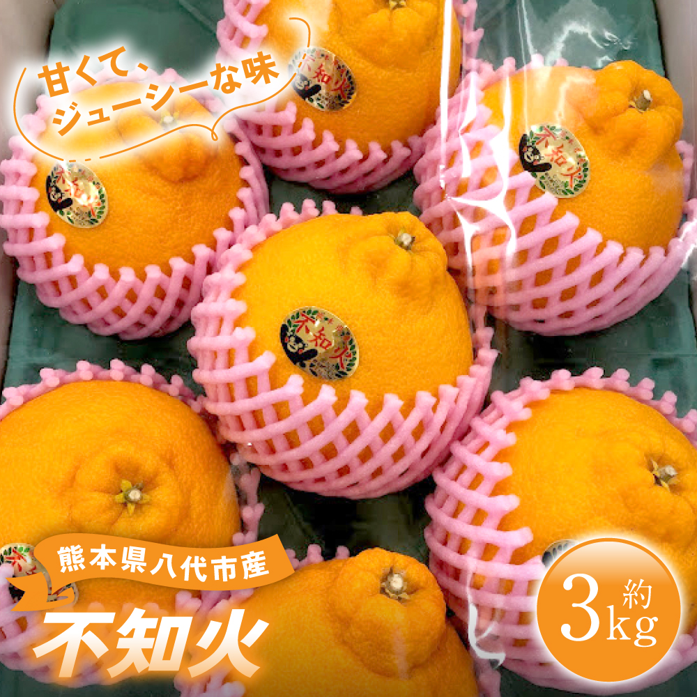 【先行予約】 熊本県 八代市産 不知火 （しらぬい） 約3kg 蜜柑 ミカン みかん ポンカン 【2026年1月中旬より順次発送】