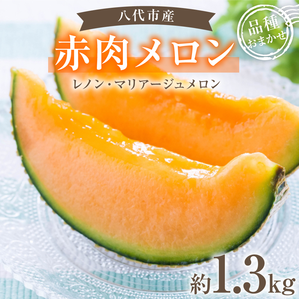 【先行予約】赤肉メロン（レノンまたはマリアージュメロン）約1.3kg 果物 くだもの 旬 ご褒美 季節の果物 赤肉 メロン 八代市産 【2026年6月中旬より順次発送】