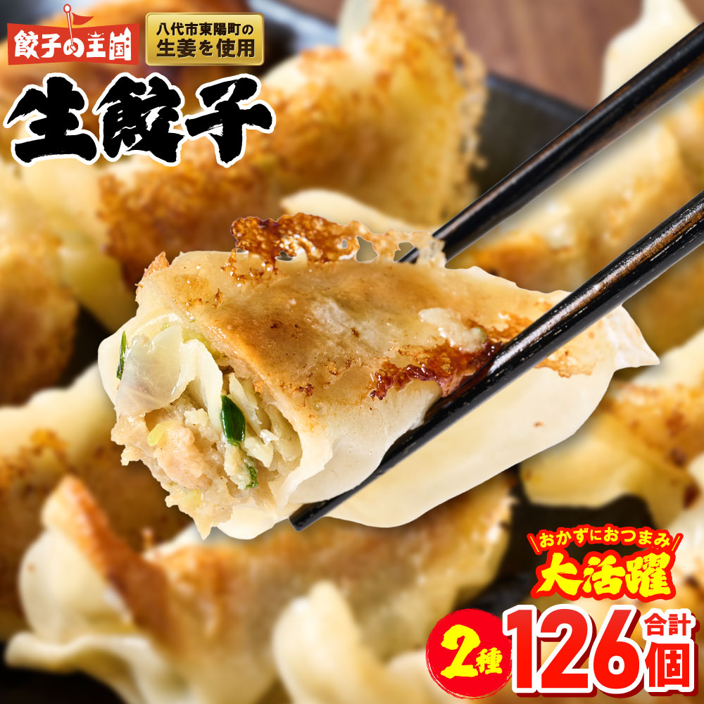 【順次発送】 八代市東陽町の生姜を使った 餃子の王国 人気生餃子126個 ぎょうざ ギョウザ