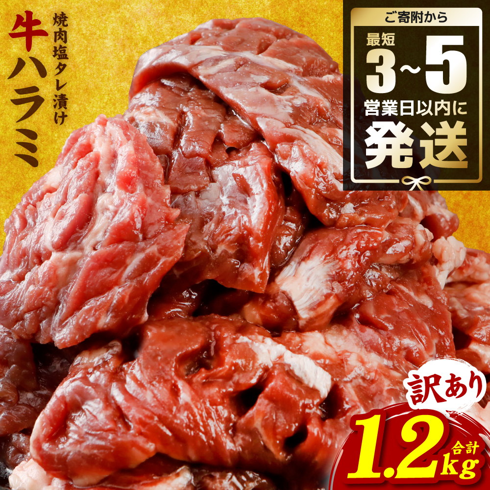 【訳あり】牛ハラミ 焼肉 (軟化加工) 1.2kg ＼スピード発送／ ＜最短3-5営業日以内に発送＞牛 牛肉 焼き肉 塩味 柔らか 厳選 小分け 