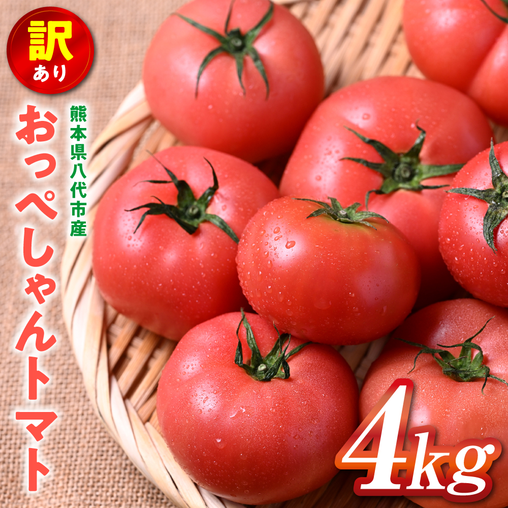 【先行予約】 訳あり おっぺしゃんトマト 4kg トマト とまと 野菜 やさい 旬の野菜 地元産野菜 特産品 お取り寄せ 家庭用 食卓 【2025年11月上旬より順次発送】