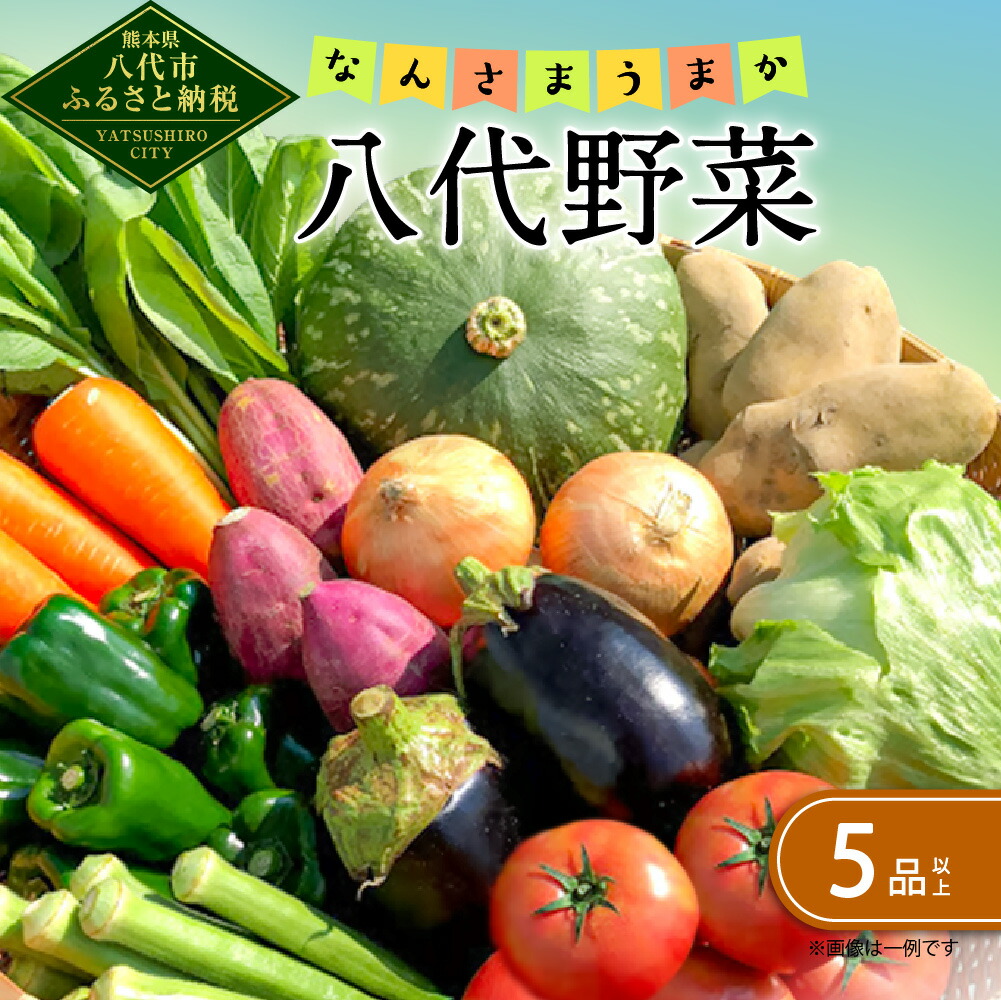 なんさまうまか八代野菜セット 5品以上 やさい 詰め合わせ 熊本県産