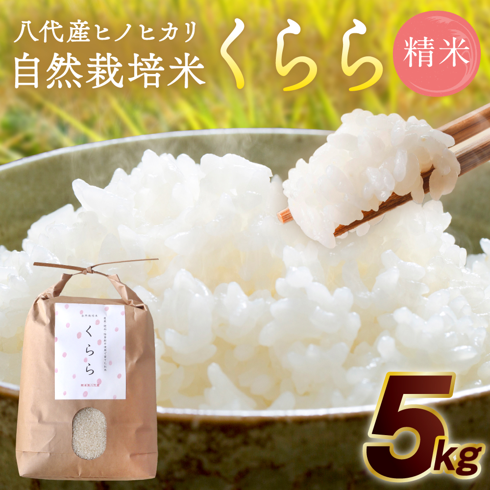 【先行予約】 《令和7年産》 自然栽培米 くらら 精米 5kg （八代産ヒノヒカリ） 【2025年11月下旬より順次発送】