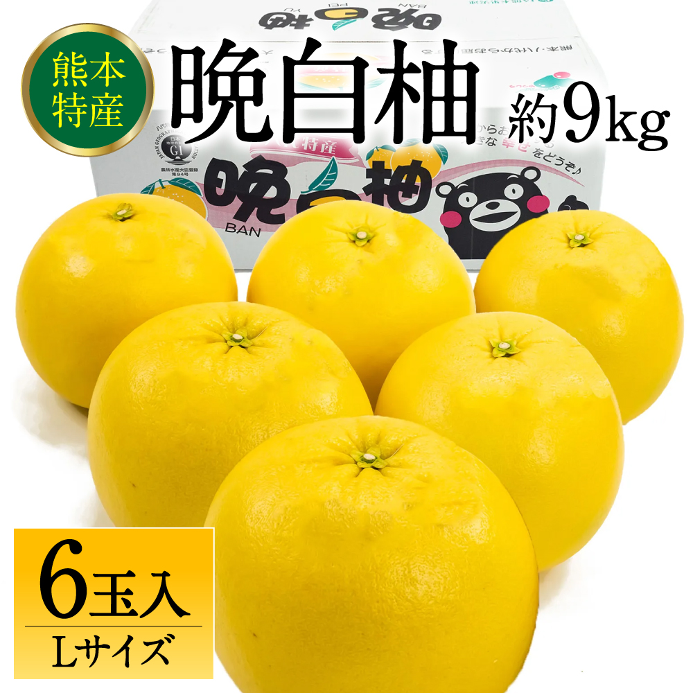 【先行予約】 熊本県八代市産 晩白柚 Lサイズ 6玉入り 約9kg 果物 くだもの フルーツ 柑橘類 青果物 特産品 お取り寄せ 【2025年12月中旬より順次発送】