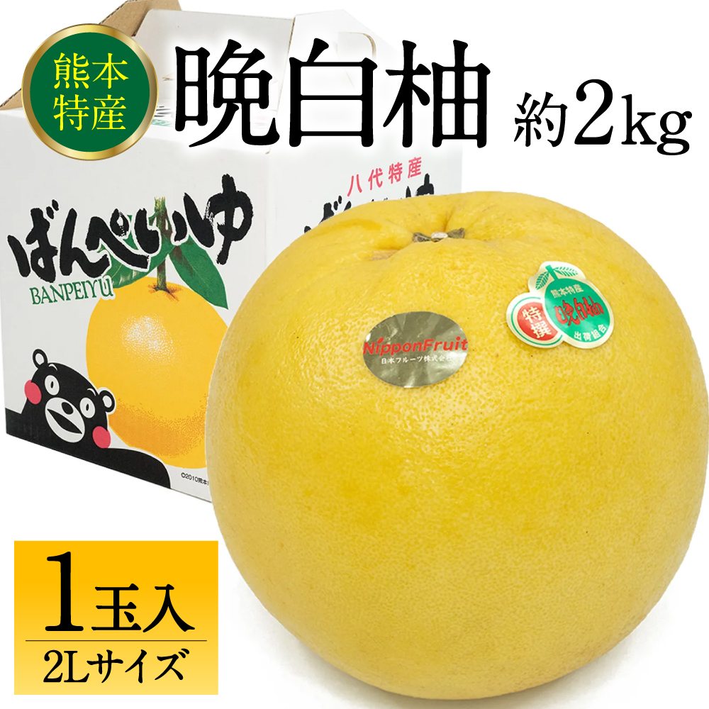 【先行予約】 熊本県八代市産 晩白柚 2Lサイズ 1玉入り 約2kg 果物 くだもの フルーツ 柑橘類 青果物 特産品 お取り寄せ 【2025年12月中旬より順次発送】