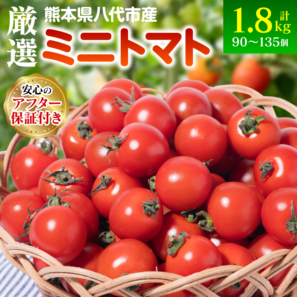 【先行予約】 厳選 ミニトマト 1.8kg トマト 野菜 厳選 やさい サラダ 甘い 【2025年11月上旬より順次発送】