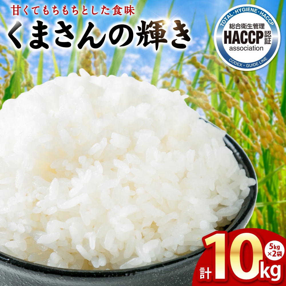 【先行予約】《令和7年産》くまさんの輝き 5kg×2袋 合計10kg  熊本県 八代市産 米 お米 精米 白米 国産 【2025年11月下旬より順次発送】