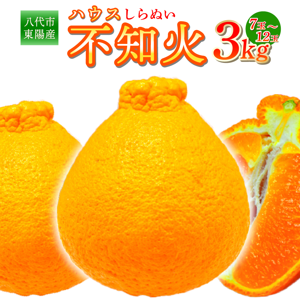 【先行予約】 八代市東陽産ハウス不知火 3kg(7玉～12玉) 不知火 しらぬい 蜜柑 ミカン 柑橘 フルーツ 果物 旬 九州産 熊本県産【2026年1月下旬より順次発送】