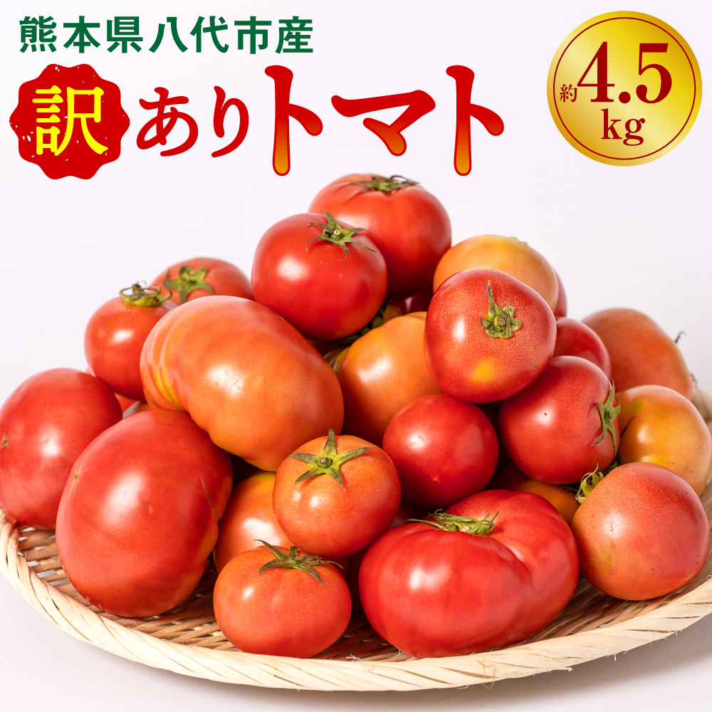 【先行予約】【訳あり】 八代市産 規格外トマト 約4.5kg 熊本県 八代市 特産品 規格外 トマト 野菜 やさい 新鮮 とまと 【2026年4月中旬より順次発送】