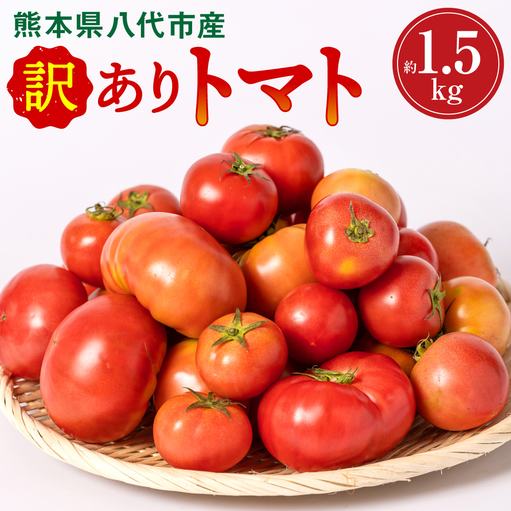 【先行予約】【訳あり】 八代市産 規格外トマト 約1.5kg 熊本県 八代市 特産品 規格外 トマト 野菜 やさい 新鮮 とまと 【2026年4月中旬より順次発送】