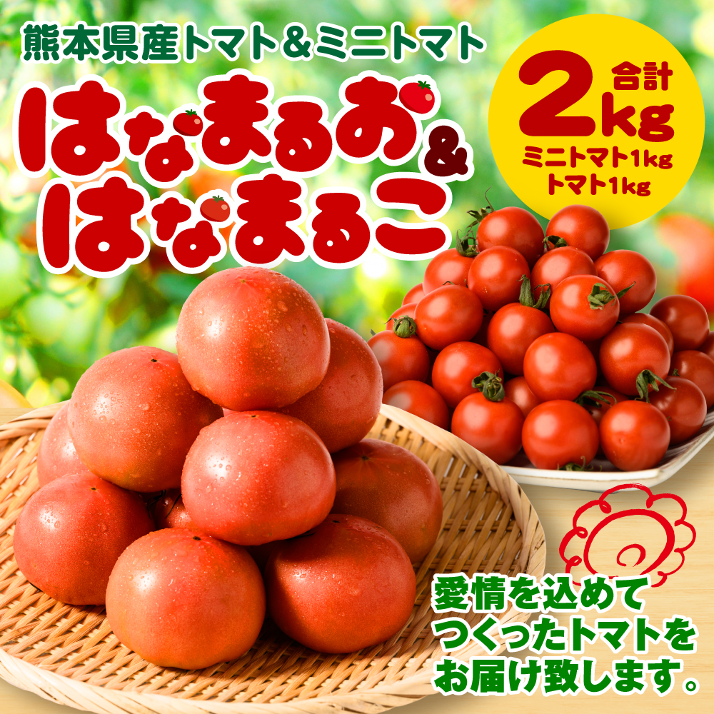 【先行予約】 熊本県産トマト 1kg ＆ ミニトマト 1kg 合計2kg はなまるお ＆ はなまるこ トマト とまと 新鮮 サラダ 野菜 やさい 八代市産 九州 【2025年11月上旬より順次発送】