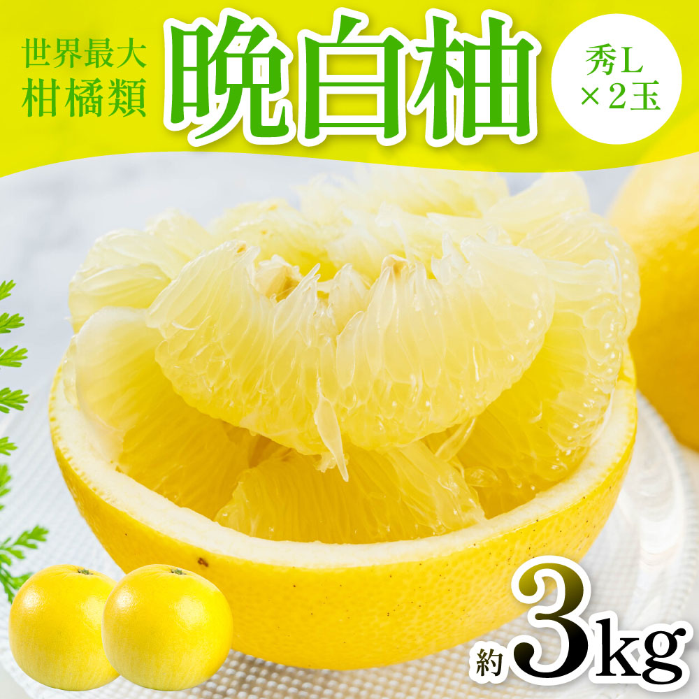 【先行予約】 晩白柚（秀L×2玉）約3kg 柑橘 果物 フルーツ 熊本県産 ばんぺいゆ フルーツ 柑橘 特産品【2025年12月上旬より順次発送】