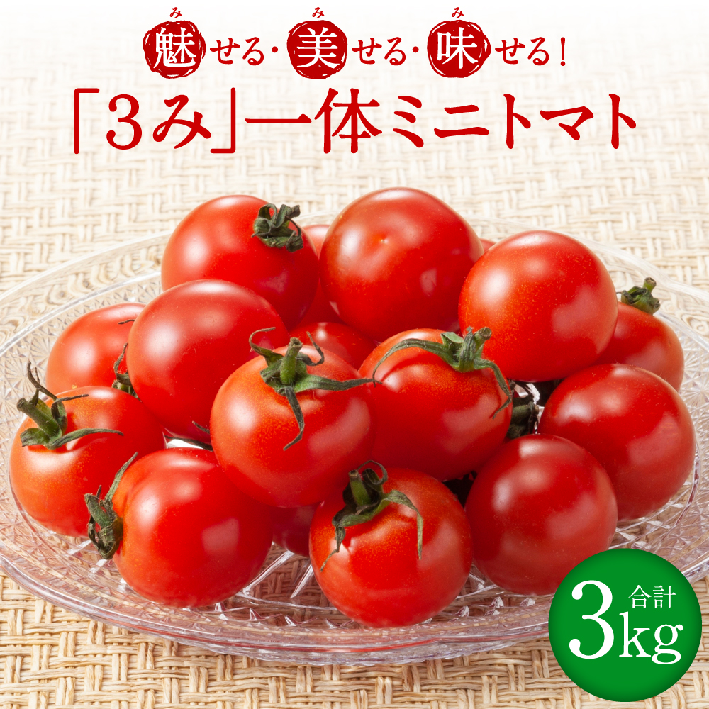 魅せる・美せる・味せる!「3み」一体ミニトマト! 八代市産 トマト ミニトマト 約3kg 野菜 とまと 熊本県 八代市