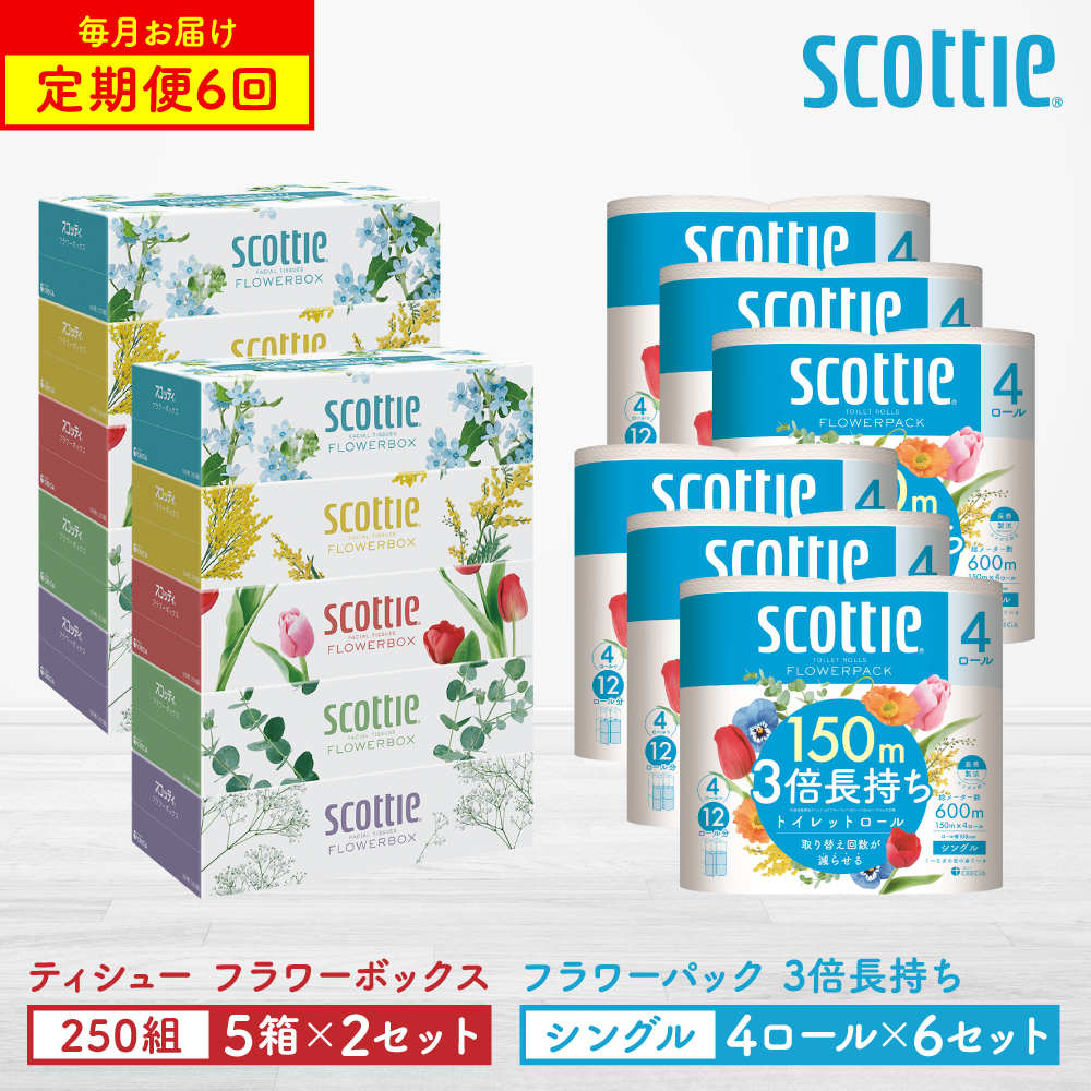 【定期便6回】【毎月お届け】【スコッティ】 ティシュー フラワーボックス 250組（5箱パック×2セット）＋フラワーパック 3倍長持ち（4ロール（シングル）パック ×6セット） ティッシュ トイレットペーパー 日用品 ストック