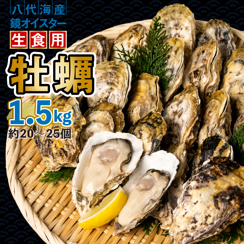 【先行予約】 牡蠣 鏡オイスター 生食用 1.5kg オイスター 生かき 新鮮 おつまみ BBQ 【2025年12月中旬より順次発送】