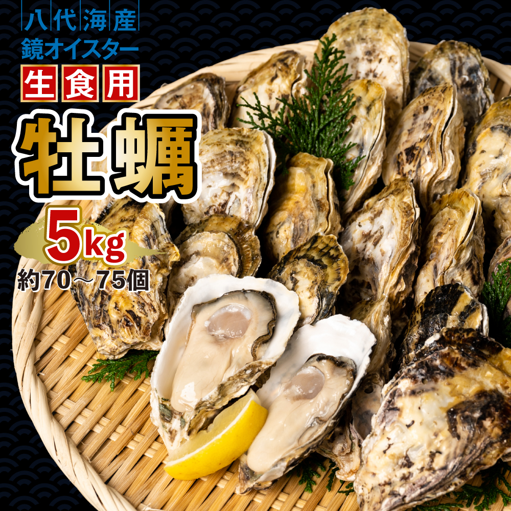 【先行予約】 牡蠣 鏡オイスター 生食用 5kg オイスター 生かき 新鮮 おつまみ BBQ 【2025年12月中旬より順次発送】