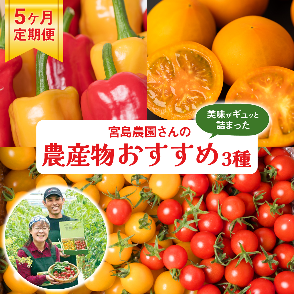 【先行予約】 【定期便5回】 八代市産 農産物おすすめ定期便 宮島農園 ミニトマト トマト パプリカ 野菜 農産物 おすすめ 定期便 熊本県 八代市 【2025年12月上旬より順次発送】