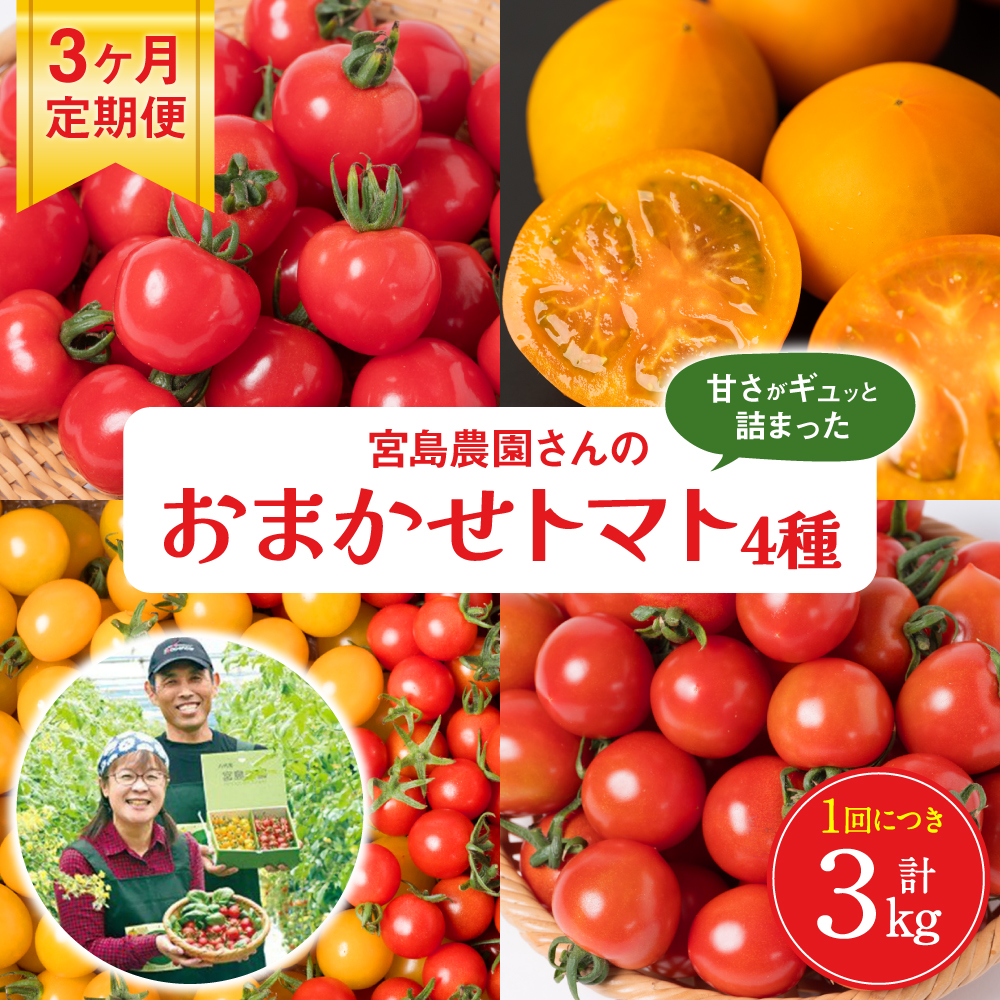 【先行予約】 【定期便3回】おまかせトマト4種 3kg×3回 計9kg 八代市産 宮島農園 ミニトマト トマト とまと 農産物 野菜 セット 詰め合わせ 定期便 熊本県 八代市 【2025年12月上旬より順次発送】
