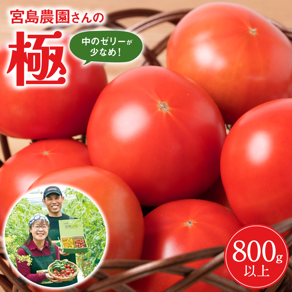【先行予約】最高峰 トマト 極 800g 八代市産 宮島農園 甘い 野菜 やさい 【2026年1月上旬より順次発送】