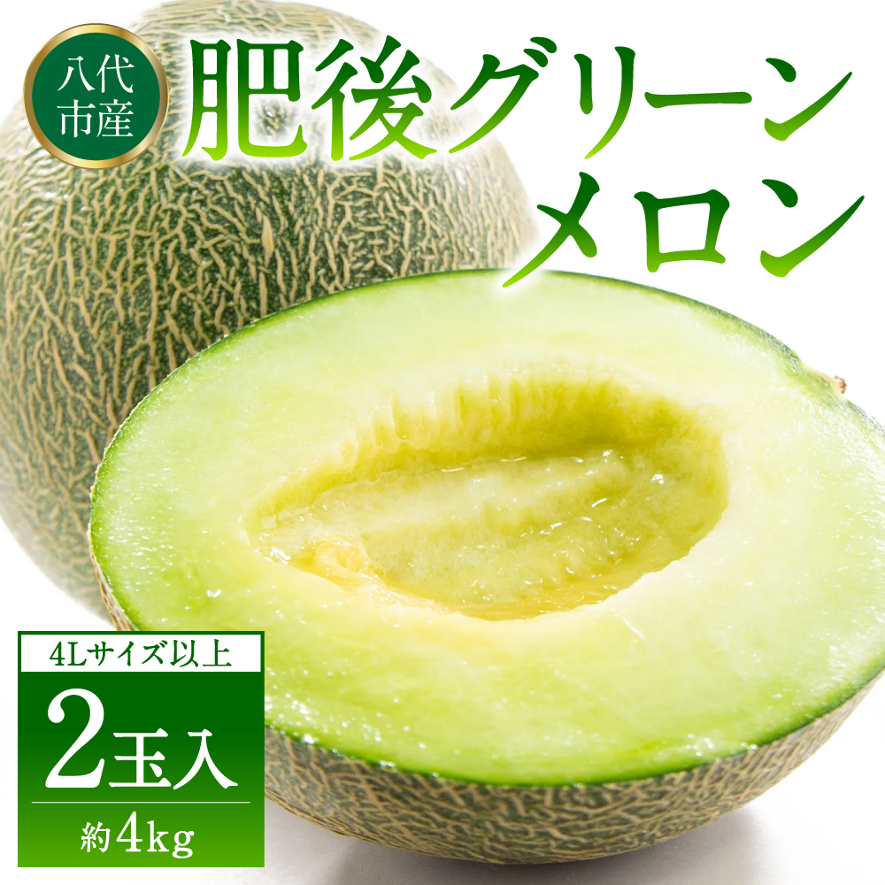 【先行予約】 熊本県八代市産 肥後グリーンメロン 4L以上 2玉 約4kg 果物 くだもの フルーツ 肥後グリーン メロン 青肉メロン 【2026年6月上旬より順次発送】