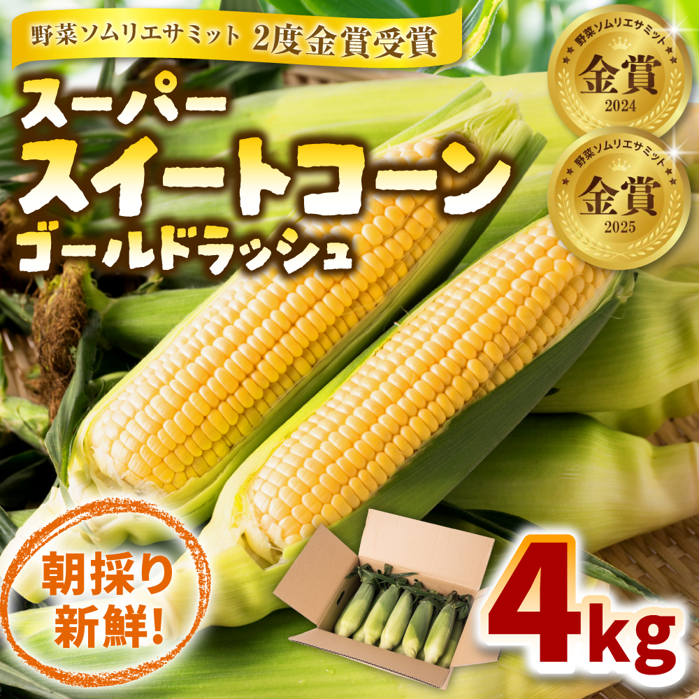 【先行予約】 熊本県八代市産 スーパースイートコーン ゴールドラッシュ 4kg 野菜ソムリエサミット 2年連続金賞受賞 スイートコーン とうもろこし コーン 朝採り 高糖度 【2026年5月上旬より順次発送】