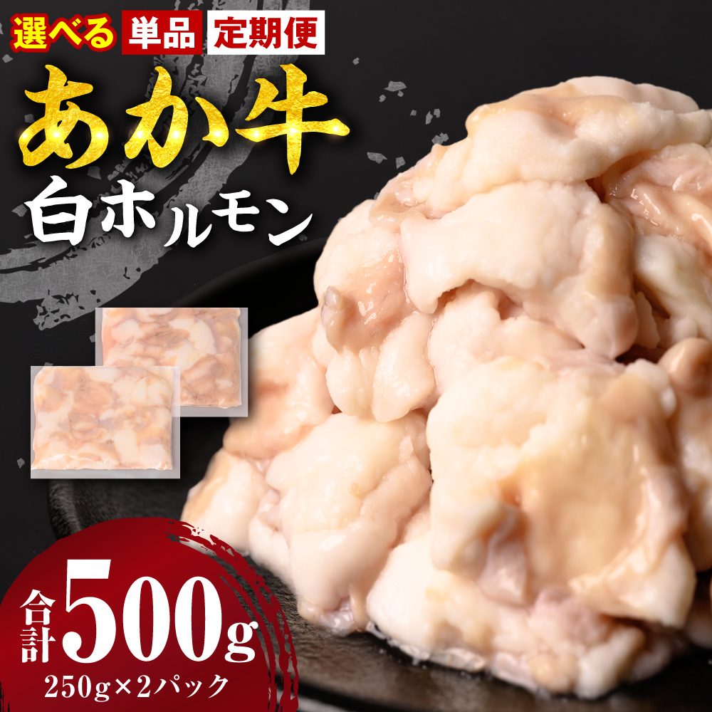 [選べる定期便・単品] あか牛 白ホルモン 500g ×1回 250g×2パック