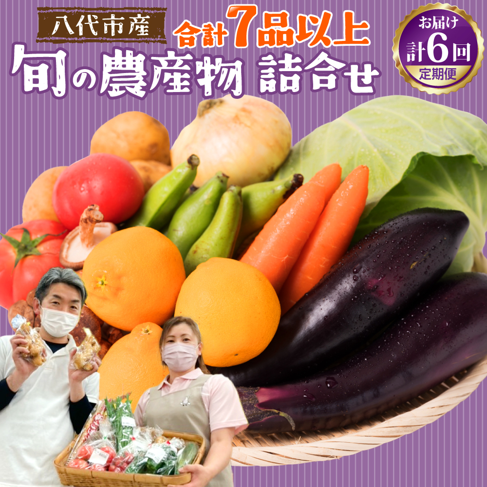 【2ヶ月に1回お届け】【定期便6回】八代市産!旬の農産物詰合せ 復興 福袋 7品以上