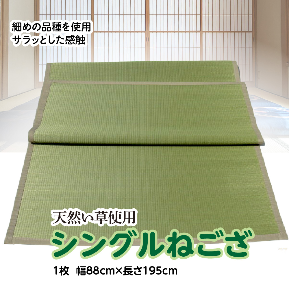 シングル ねござ 幅88cm×長195cm 寝ござ い草