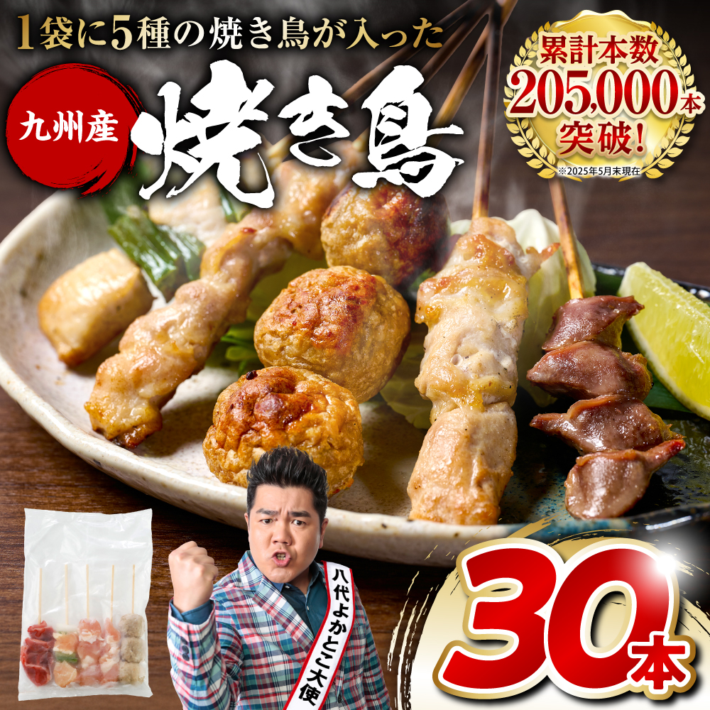 やきとり5種 30本セット お試しサイズ! 国産 鶏肉 串 九州産 冷凍 小分け ねぎま とろ もも 砂肝 つくね