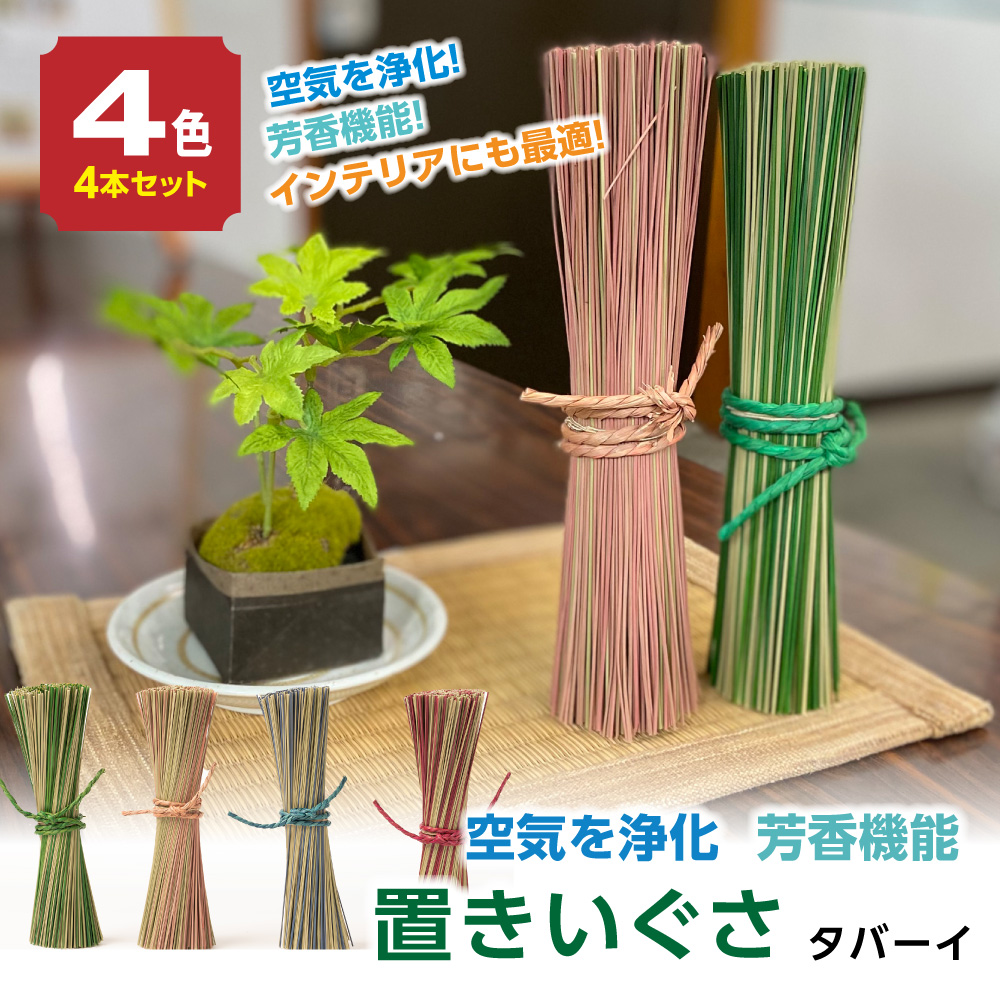 置きいぐさ（タバーイ）4本セット(赤、青、緑、ピンク)