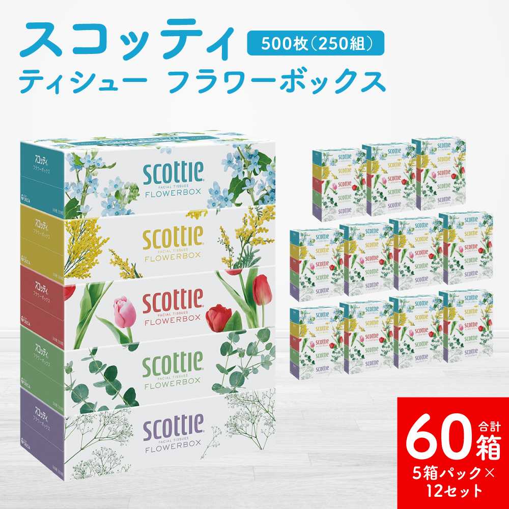 【スコッティ】 ティシュー フラワーボックス 250組 5箱パック×12 合計60箱 ティッシュ 日用品 生活必需品