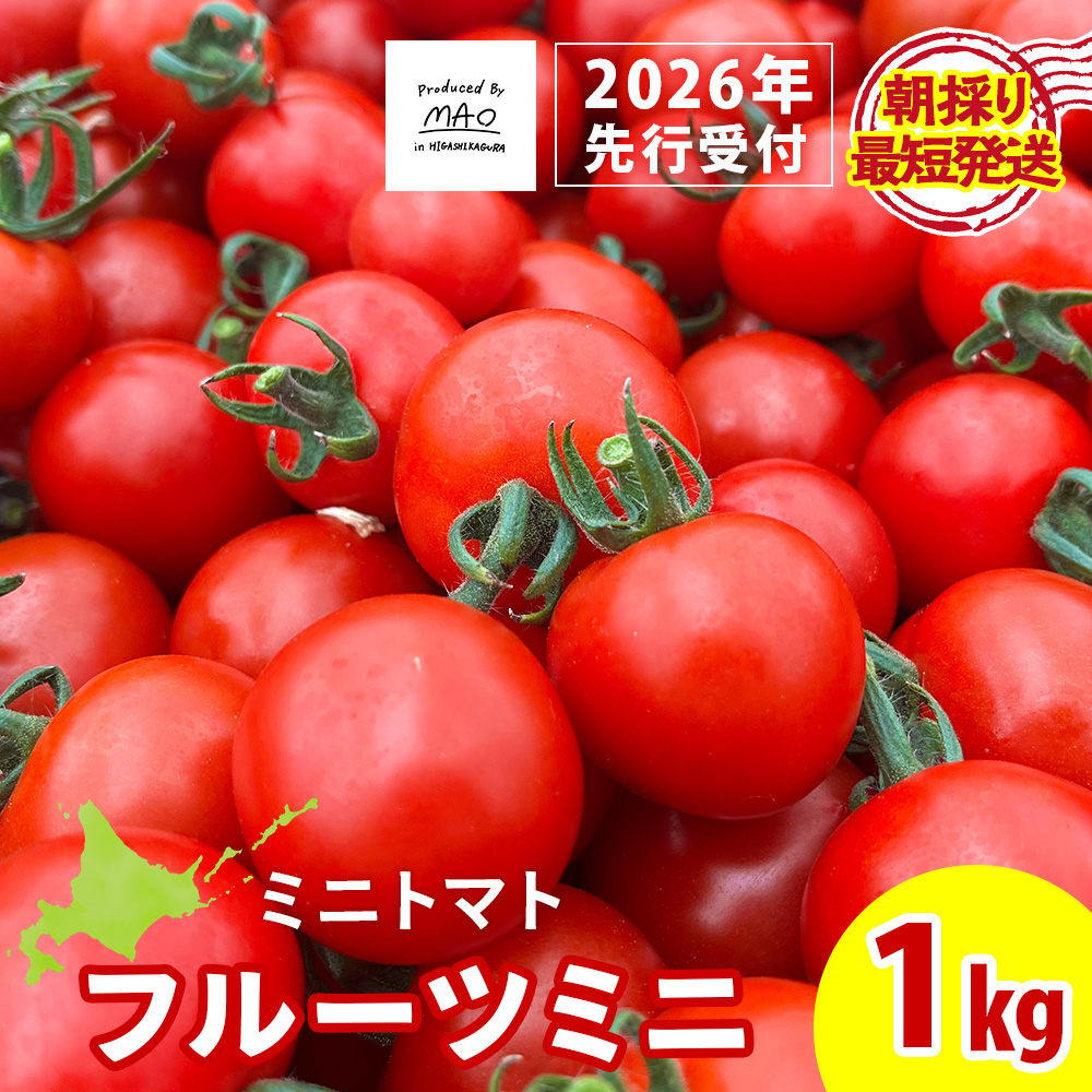 【2026年先行予約】 【朝採れ最短発送！】フルーツミニ ミニトマト1kg