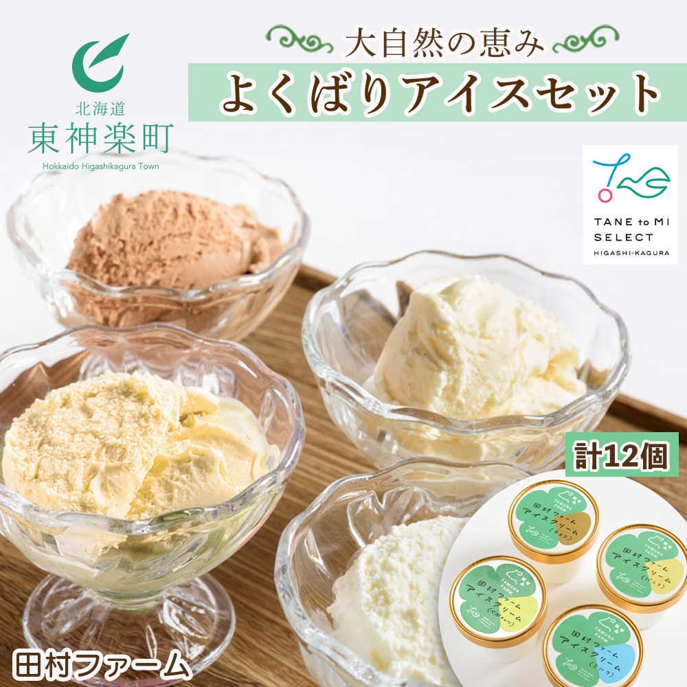 大自然の恵み~よくばりアイスセット<田村ファーム>
