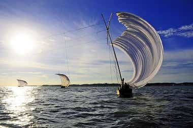 茨城県かすみがうら市