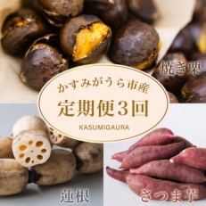 【発送月固定定期便】茨城県 特産品3種全3回【配送不可地域:離島】【4062740】