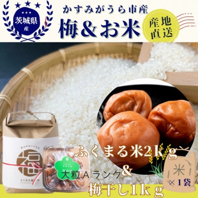 茨城県産『常陸乃梅』 大粒Aランク梅干し 無添加 1Kg & ふくまる厳選米 2Kg【1475658】