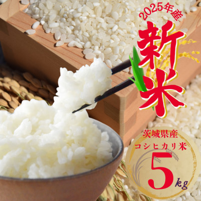 2025年新米 茨城県産 コシヒカリ米(精米)5kg【1620168】