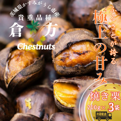 【先行受付】甘さ抜群!貴重品種『倉方』の焼き栗 200g×3セット【配送不可地域:離島】【1092660】