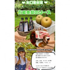 高級焼き肉のたれ　万能奈梨のタレ　200m×3本【1366568】