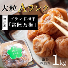 『常陸乃梅』 大粒Aランク梅干し 1Kg 無添加 茨城県産【1386091】