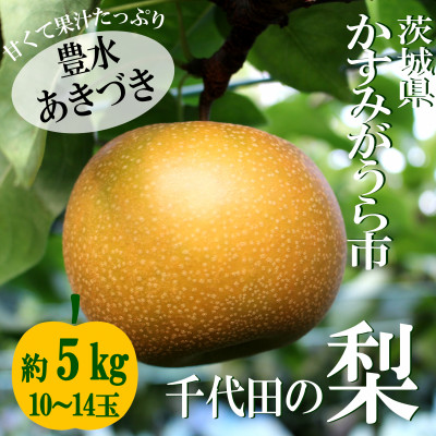 【2025年出荷受付】茨城県　千代田の梨(豊水・秋月いずれか)約5kg【1329113】