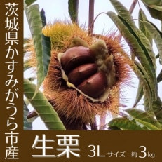 【2025年10月発送開始】産地直送!久保田果樹園の生栗3Lサイズ約3kg【配送不可地域:離島】【1428287】